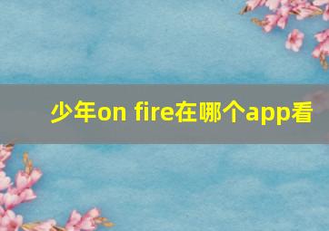 少年on fire在哪个app看